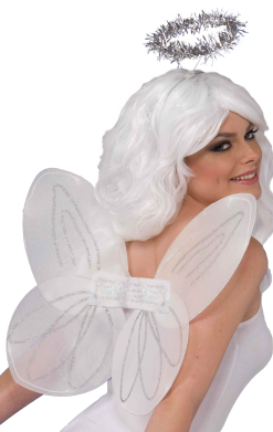 Angel Wings And Halo Set