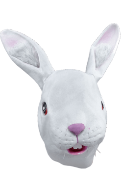 Bunny Facepiece