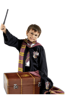 Childrens Deluxe Harry Potter Costume And Trunk