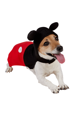 Mickey Mouse Dog Costume