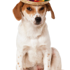 Enchiwawa Sombrero Dog Costume