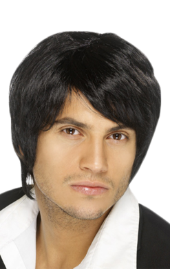 Smiffys Warhol Black Wig