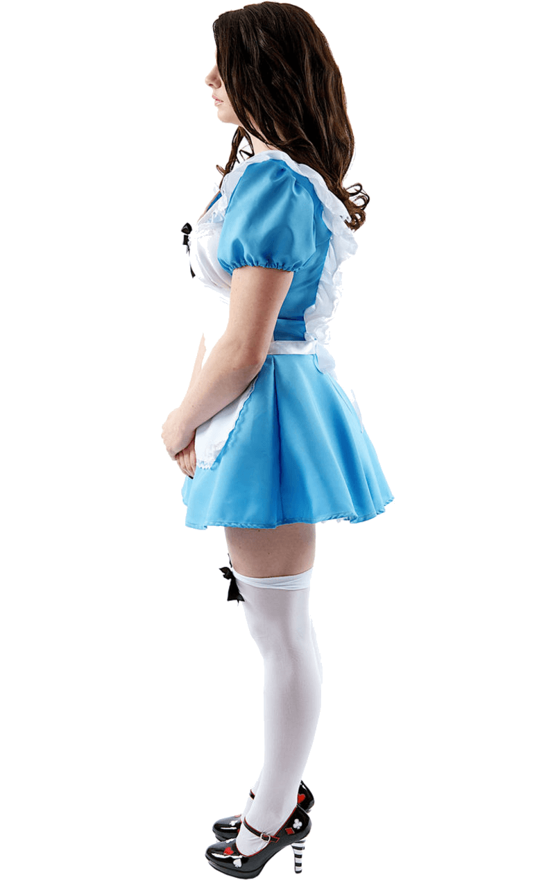 Adult Original Alice In Wonderland Costume 2 Adult Original Alice In Wonderland Costume - Image 2