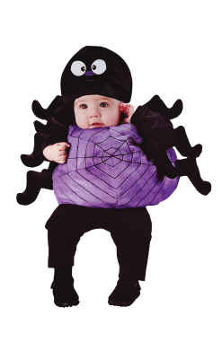 Baby Silly Spider Costume