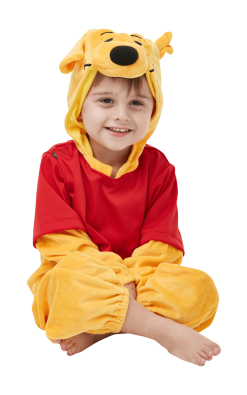 Kids Winnie The Pooh Costume