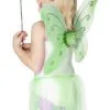 Smiffys Green Butterfly Wings And Wand