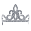 Silver Tiara Accessory