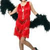 Dreamgirl Jazzy Flapper Dress Costume