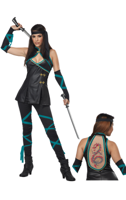 Lady Ninja Costume