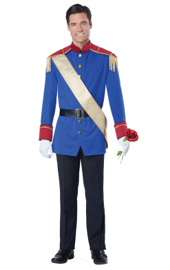 Mens Storybook Prince Costume