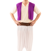 Mens Aladdin Costume