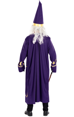 Mens Classic Wizard Costume -Fancy Dress Shop 00091168a02