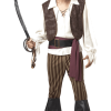 Adult Mens Rogue Pirate Costume