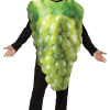 Adult Novelty Green Grapes Costume