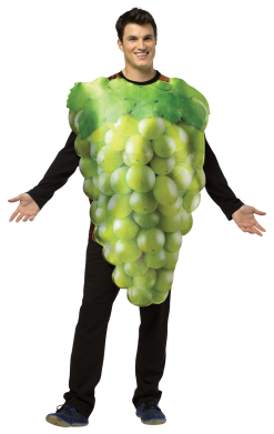 Adult Novelty Green Grapes Costume