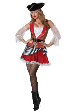 Womens Pretty Pirate Costume