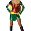 Ladies Superhero Robin Costume