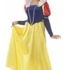 Adult Disney Classic Snow White Costume