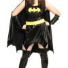 Womens Plus Size Batgirl Costume