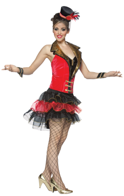 Big Top Diva Costume